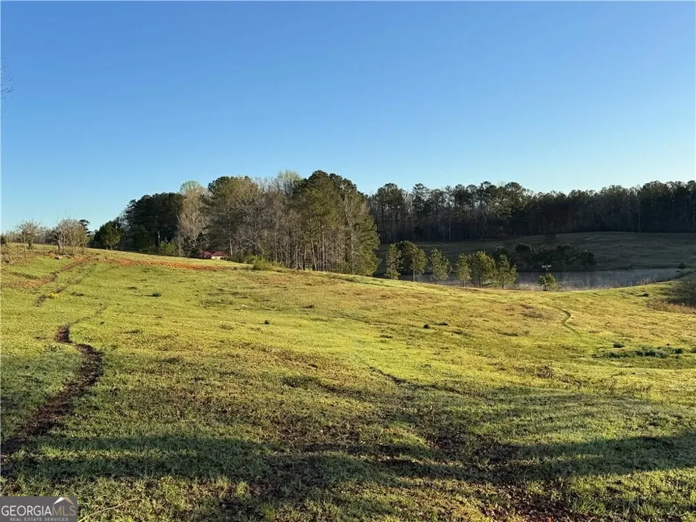 1126 County Road 145 Roanoke, AL 36274