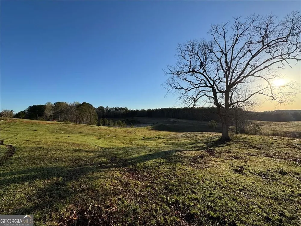1126 County Road 145 Roanoke, AL 36274