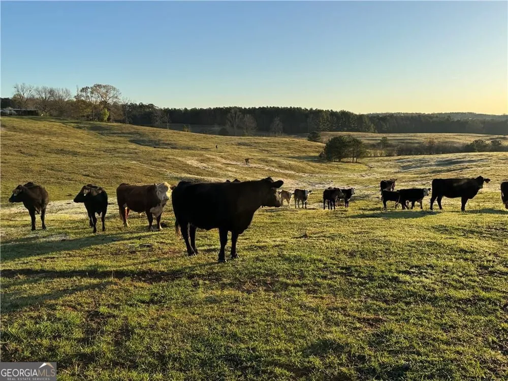 1126 County Road 145 Roanoke, AL 36274