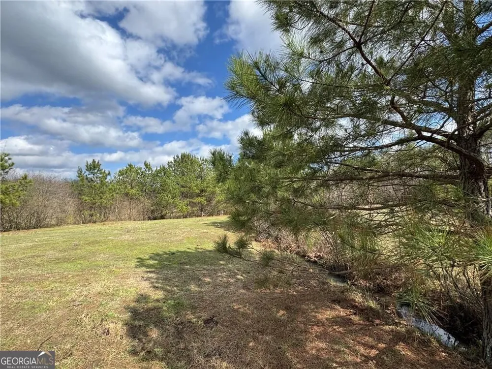 1126 County Road 145 Roanoke, AL 36274