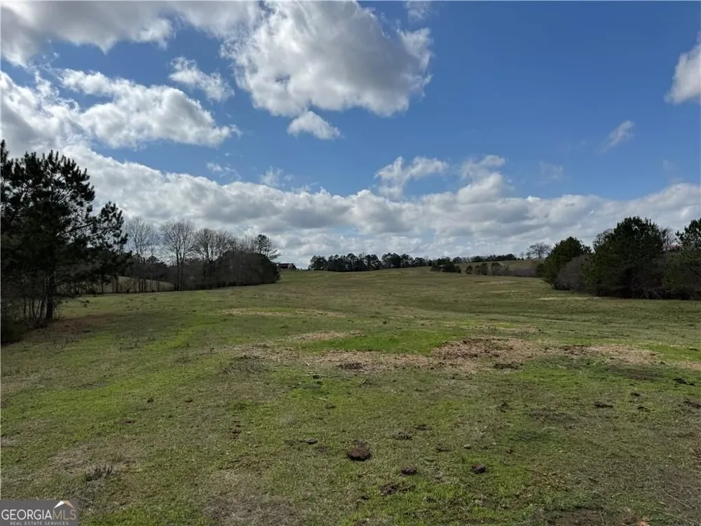 1126 County Road 145 Roanoke, AL 36274