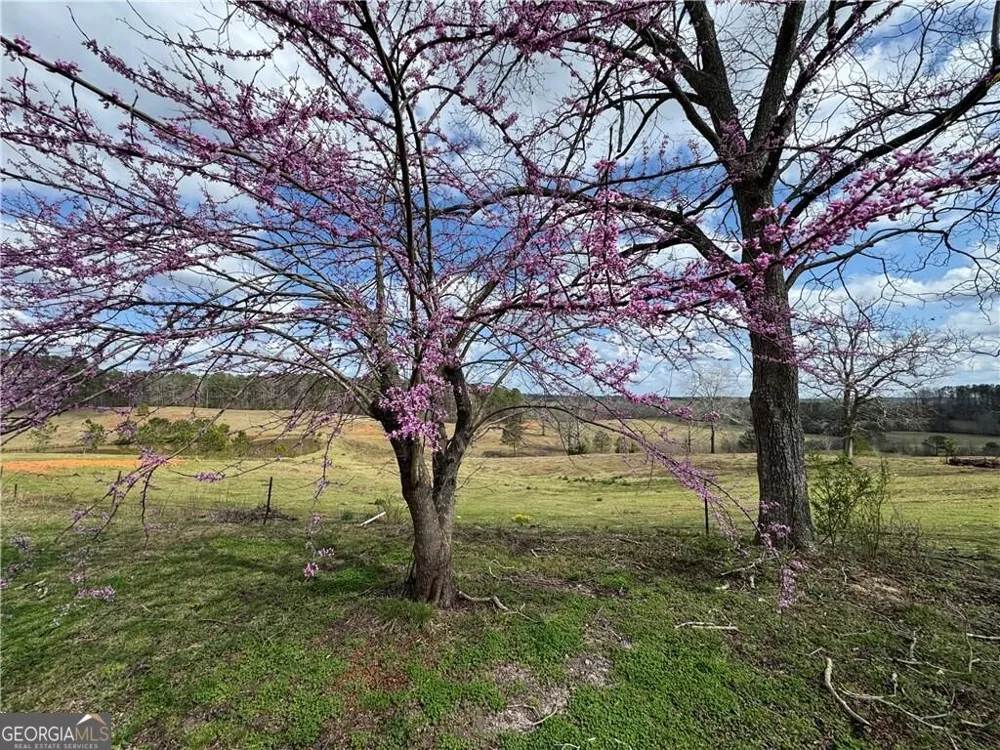 1126 County Road 145 Roanoke, AL 36274