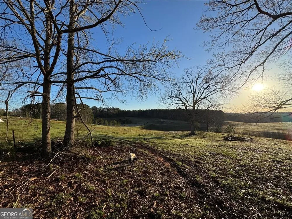 1126 County Road 145 Roanoke, AL 36274
