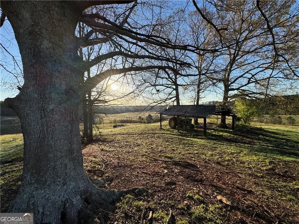 1126 County Road 145 Roanoke, AL 36274