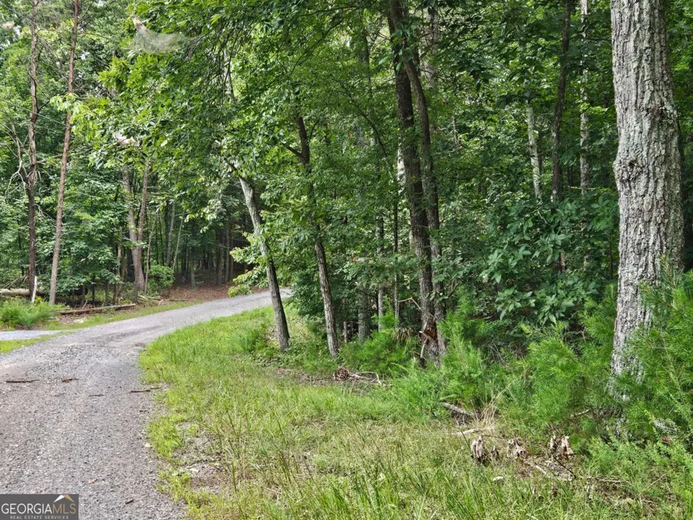 1467 Hanna DR Ranger, GA 30734