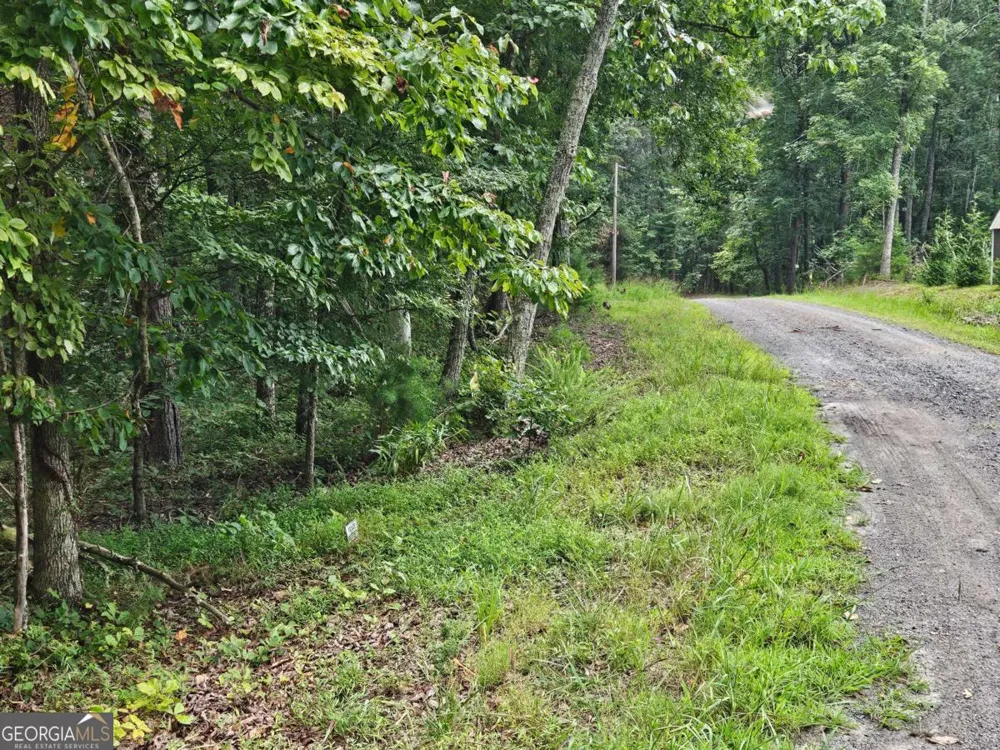 1467 Hanna DR Ranger, GA 30734
