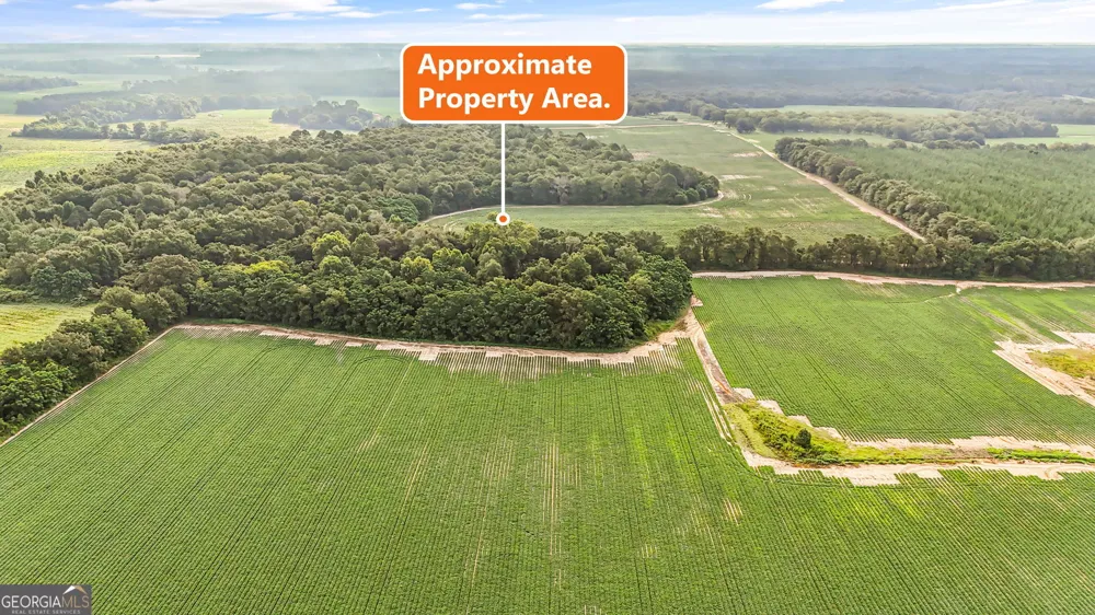 0 Long RD Vienna, GA 31092