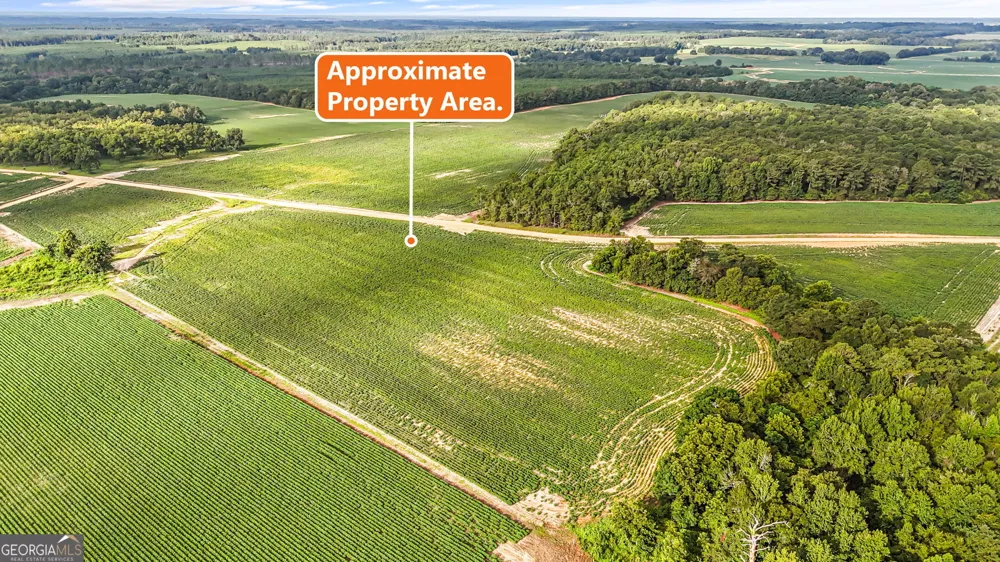0 Long RD Vienna, GA 31092