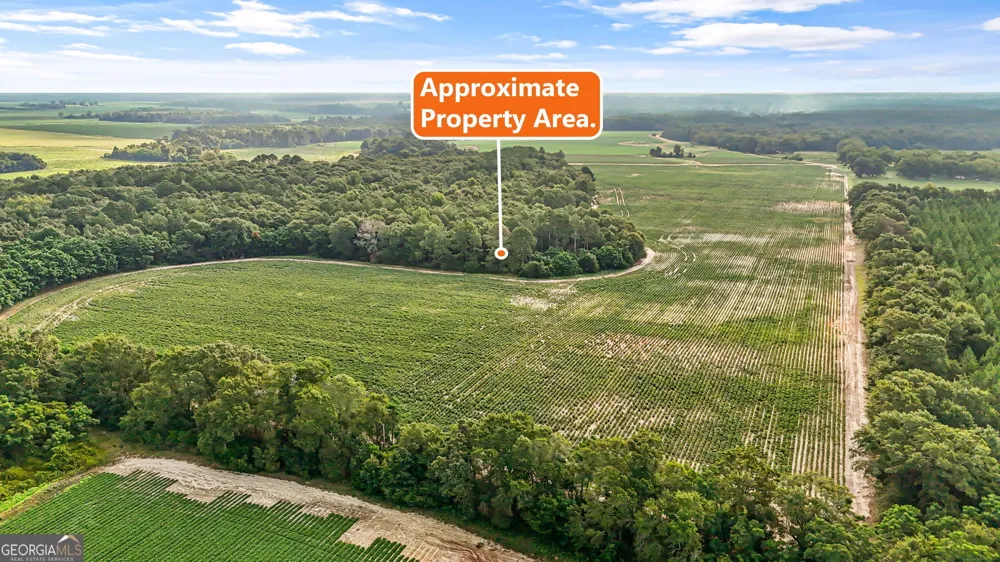 0 Long RD Vienna, GA 31092