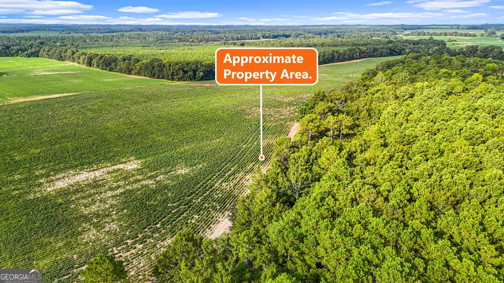 0 Long RD Vienna, GA 31092