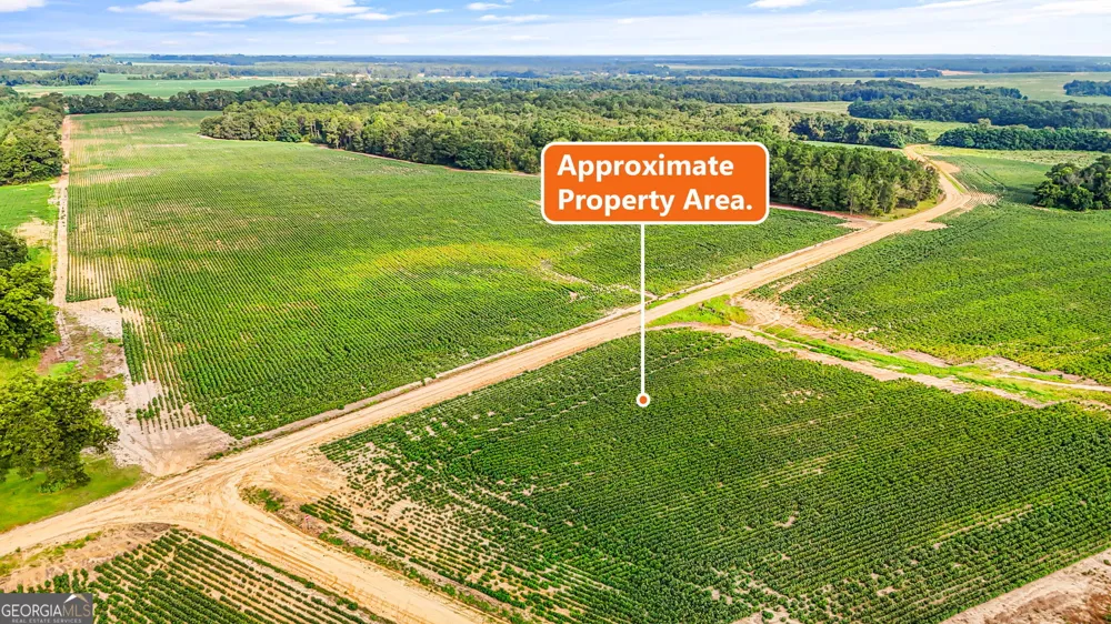 0 Long RD Vienna, GA 31092