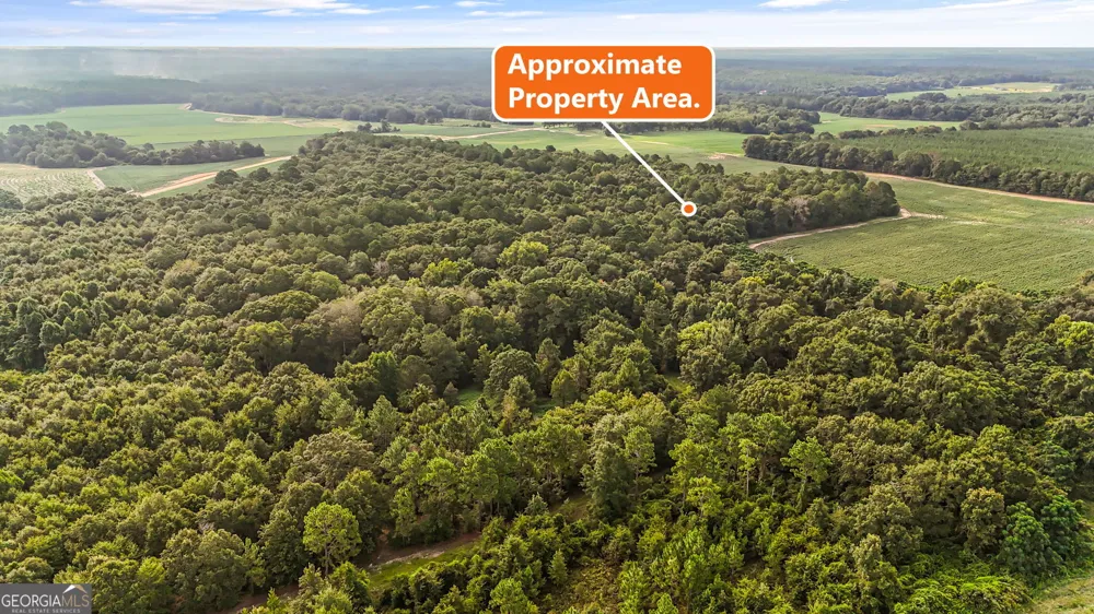 0 Long RD Vienna, GA 31092