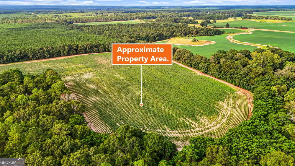 0 Long RD Vienna, GA 31092