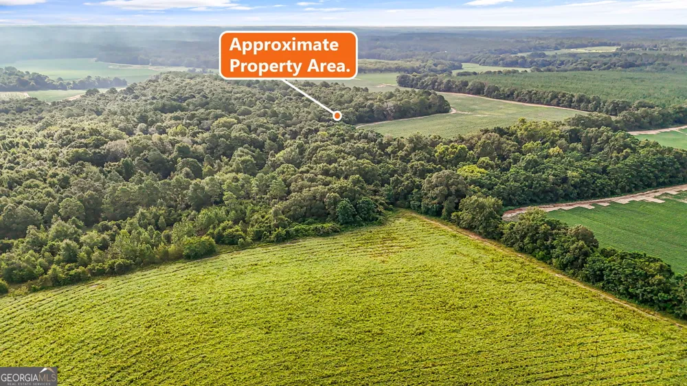 0 Long RD Vienna, GA 31092