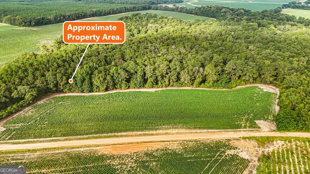 0 Long RD Vienna, GA 31092