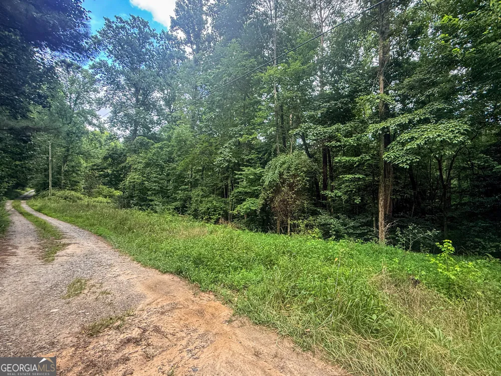0 Jesses RUN Ellijay, GA 30536