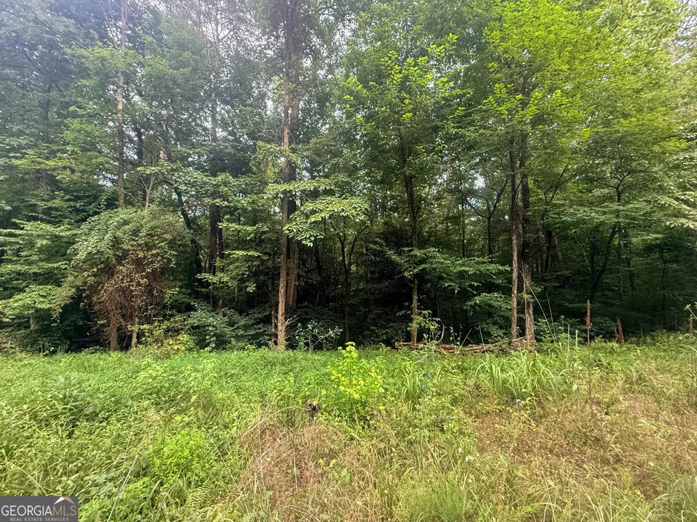 0 Jesses RUN Ellijay, GA 30536