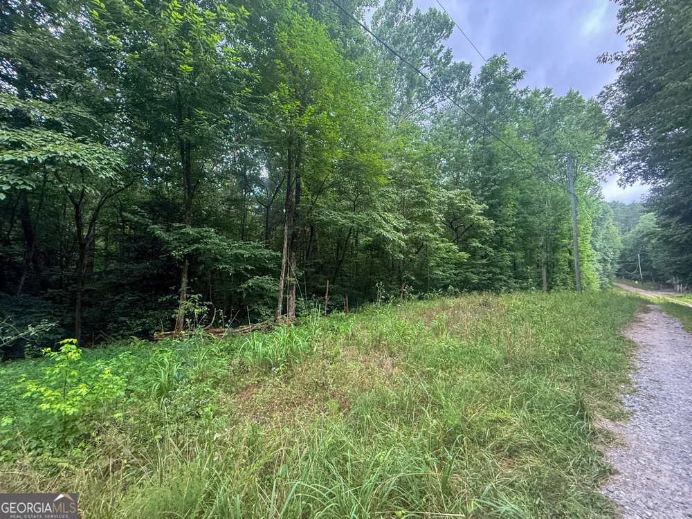 0 Jesses RUN Ellijay, GA 30536