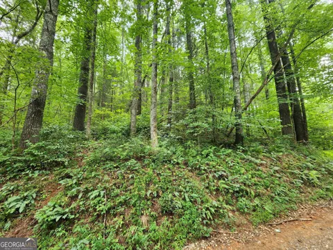 TRACT 2A Poplar Cove TRL