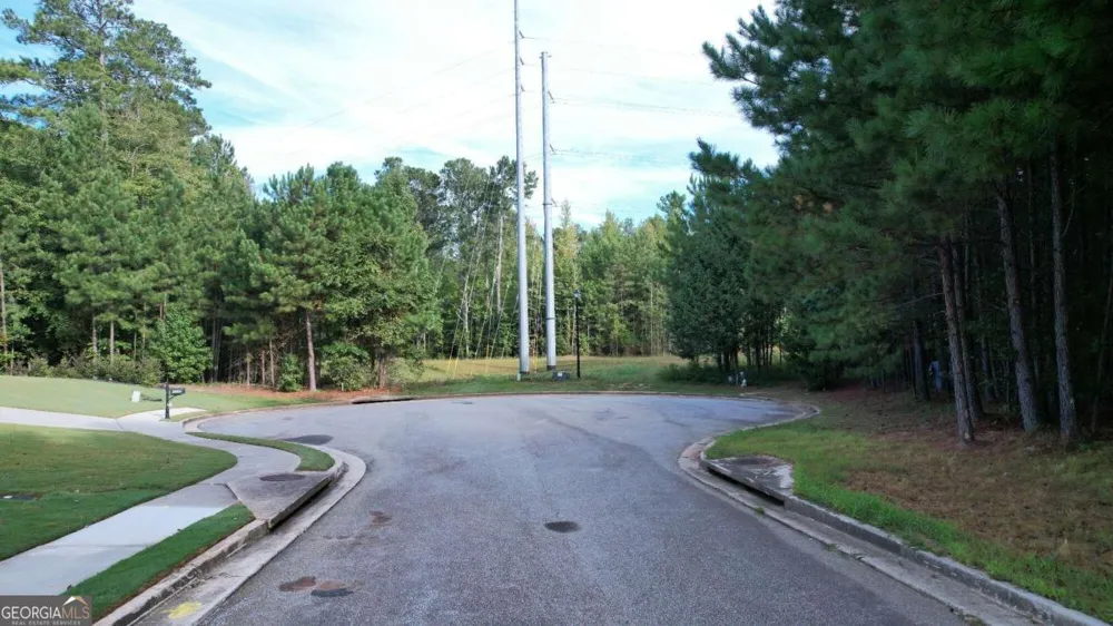 3040 Wood Valley CT Loganville, GA 30052