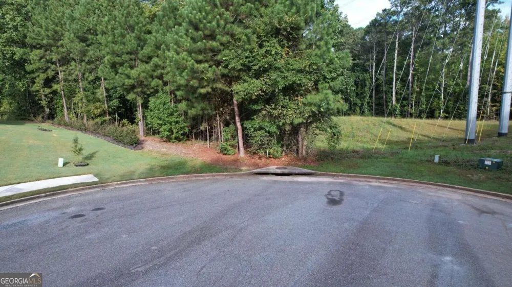 3045 Wood Valley CT Loganville, GA 30052