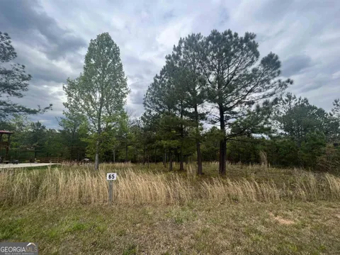 LOT 65 Village Loop