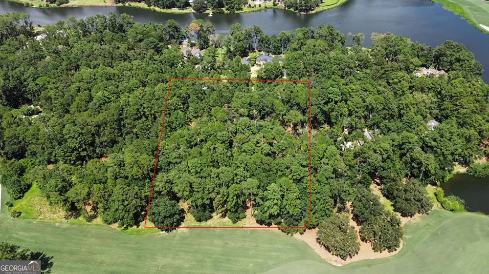 388 Belted Kingfisher LN Richmond Hill, GA 31324