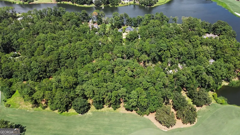 388 Belted Kingfisher LN Richmond Hill, GA 31324