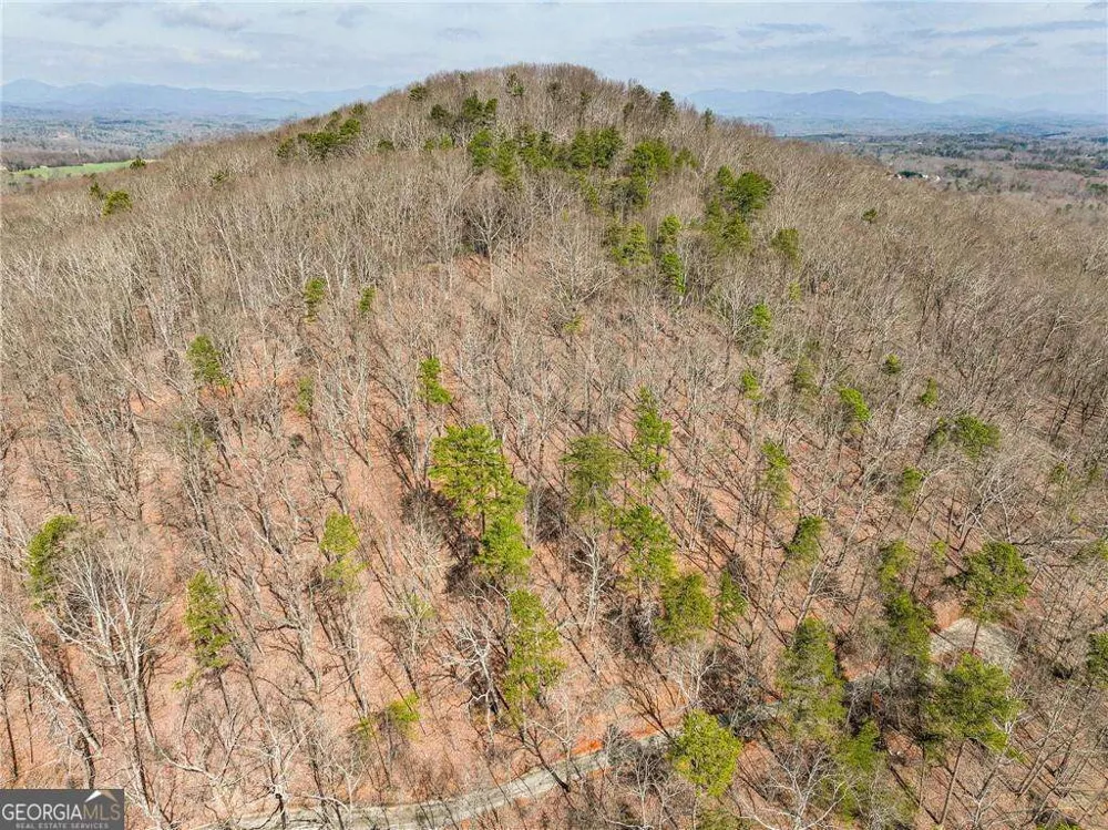 LOT 1 Mount Mincie RD Murrayville, GA 30564
