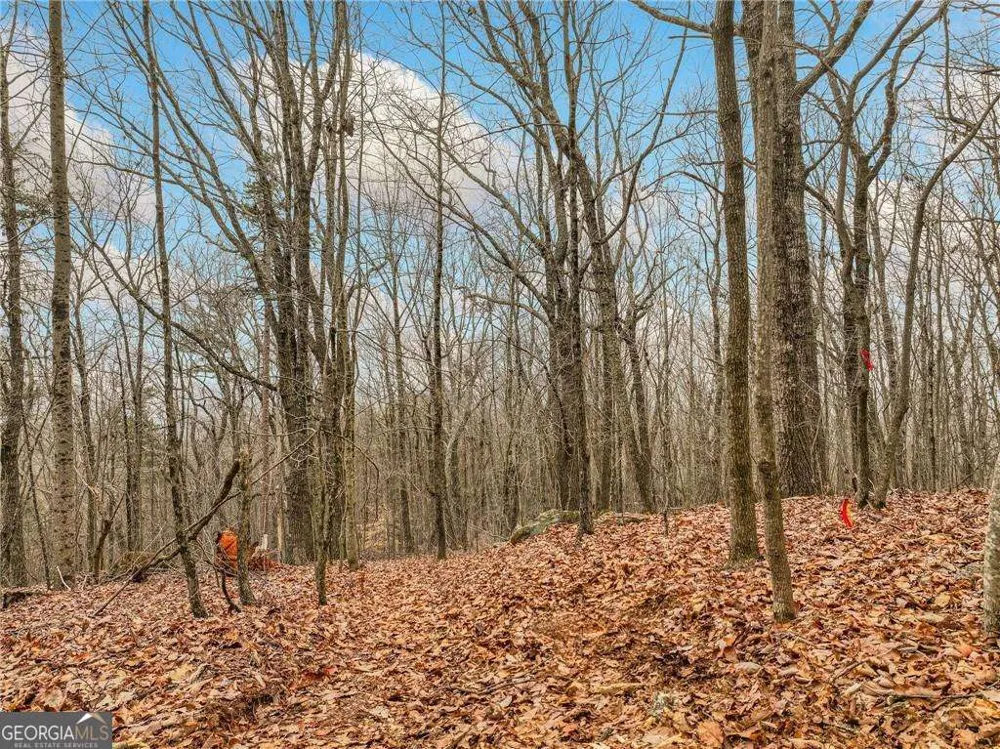 LOT 1 Mount Mincie RD Murrayville, GA 30564
