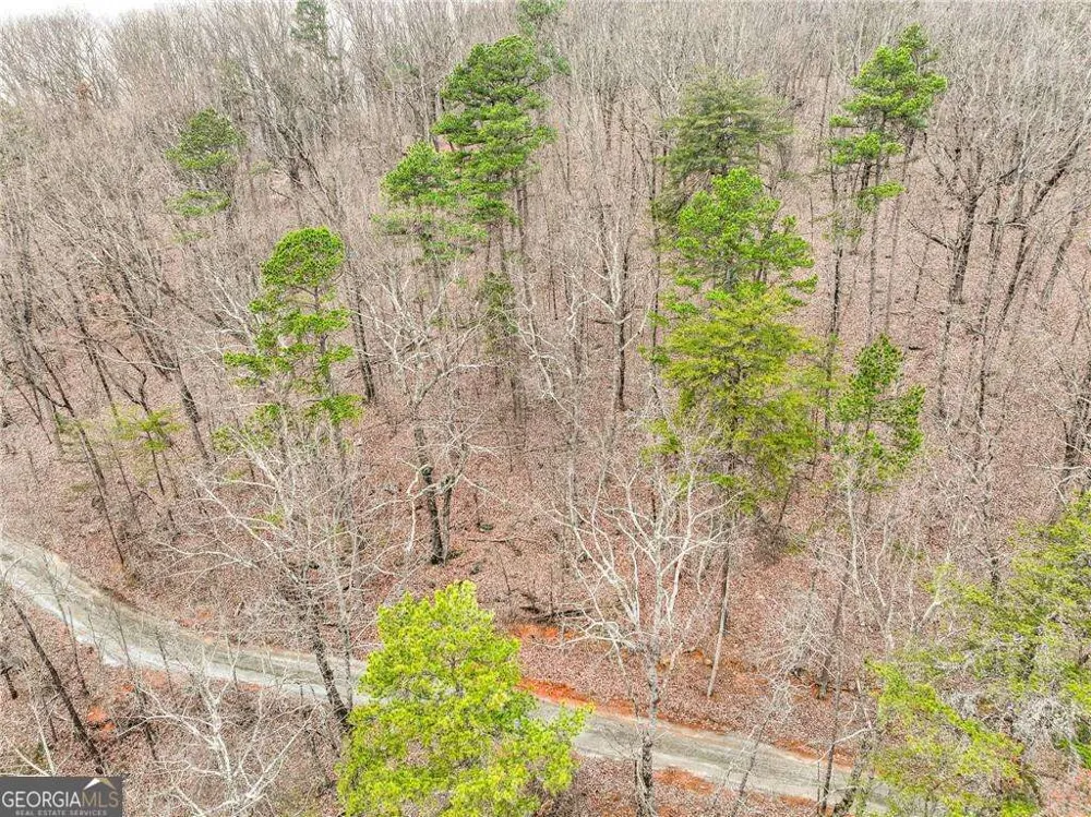 LOT 1 Mount Mincie RD Murrayville, GA 30564