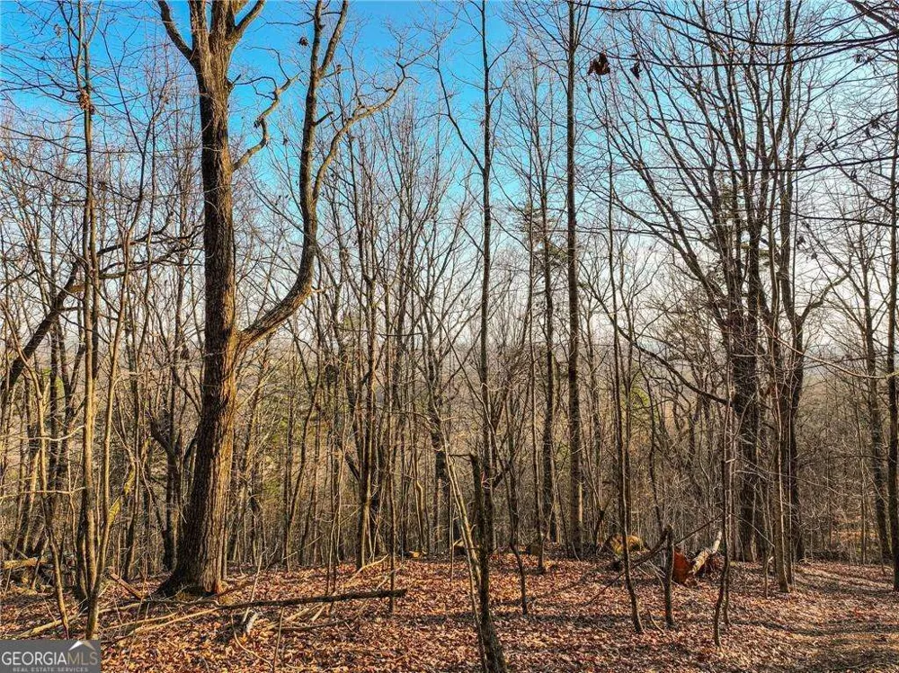 LOT 1 Mount Mincie RD Murrayville, GA 30564
