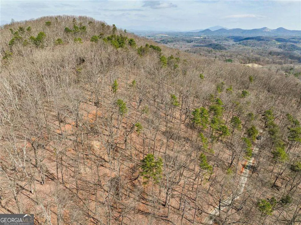LOT 1 Mount Mincie RD Murrayville, GA 30564