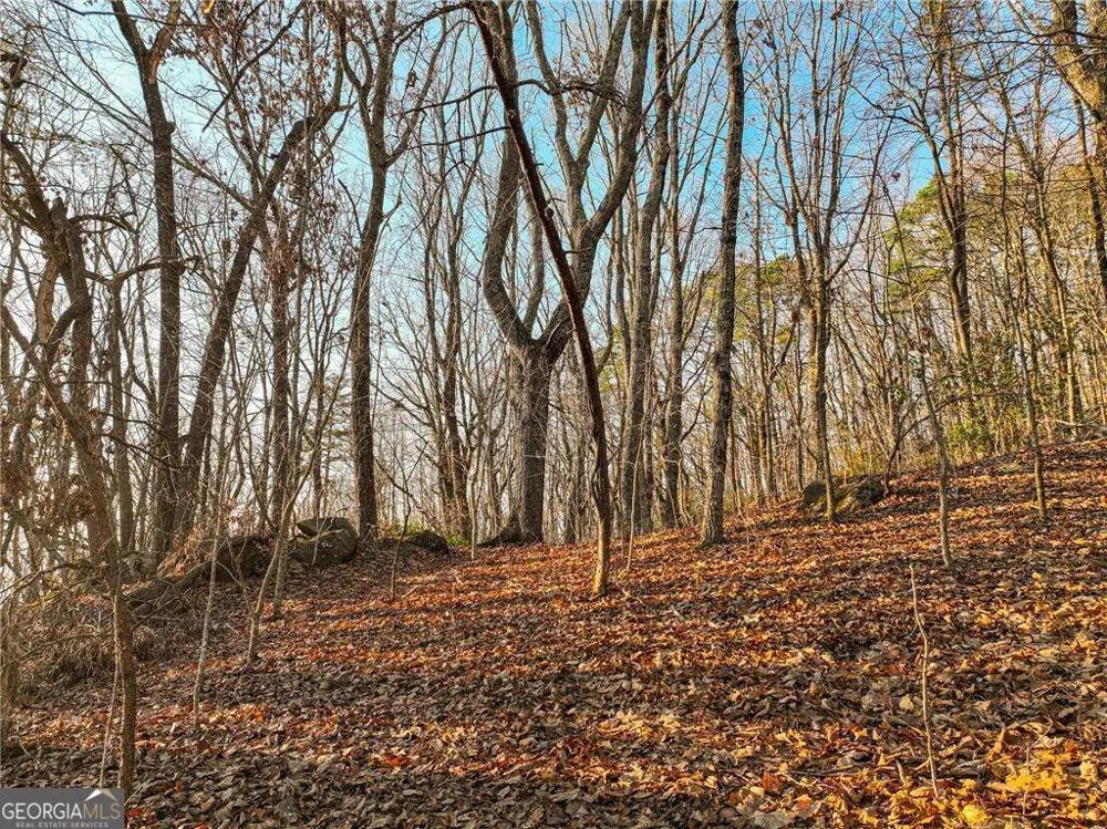 LOT 1 Mount Mincie RD Murrayville, GA 30564