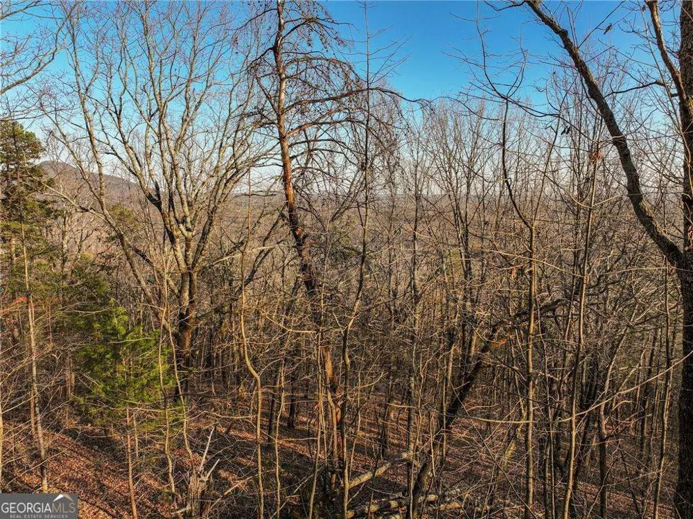 LOT 1 Mount Mincie RD Murrayville, GA 30564
