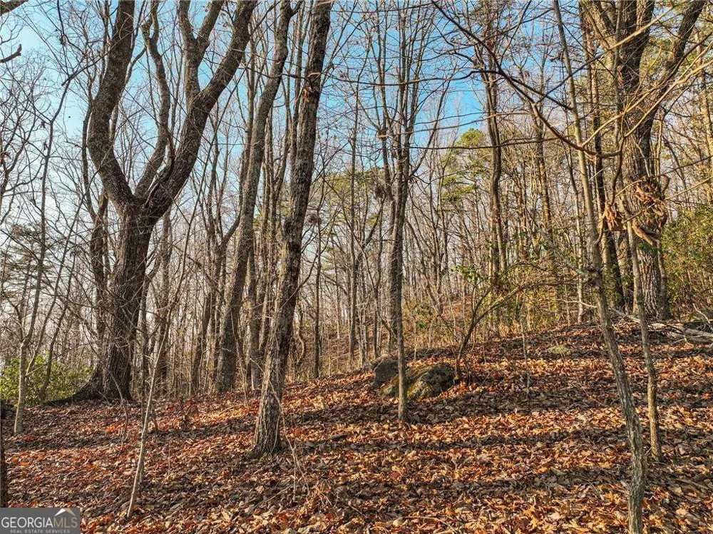 LOT 1 Mount Mincie RD Murrayville, GA 30564