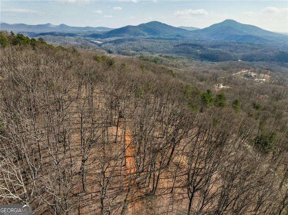 LOT 1 Mount Mincie RD Murrayville, GA 30564