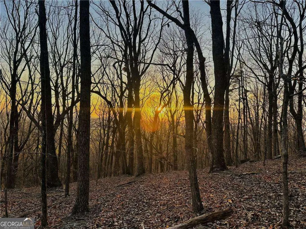 LOT 1 Mount Mincie RD Murrayville, GA 30564