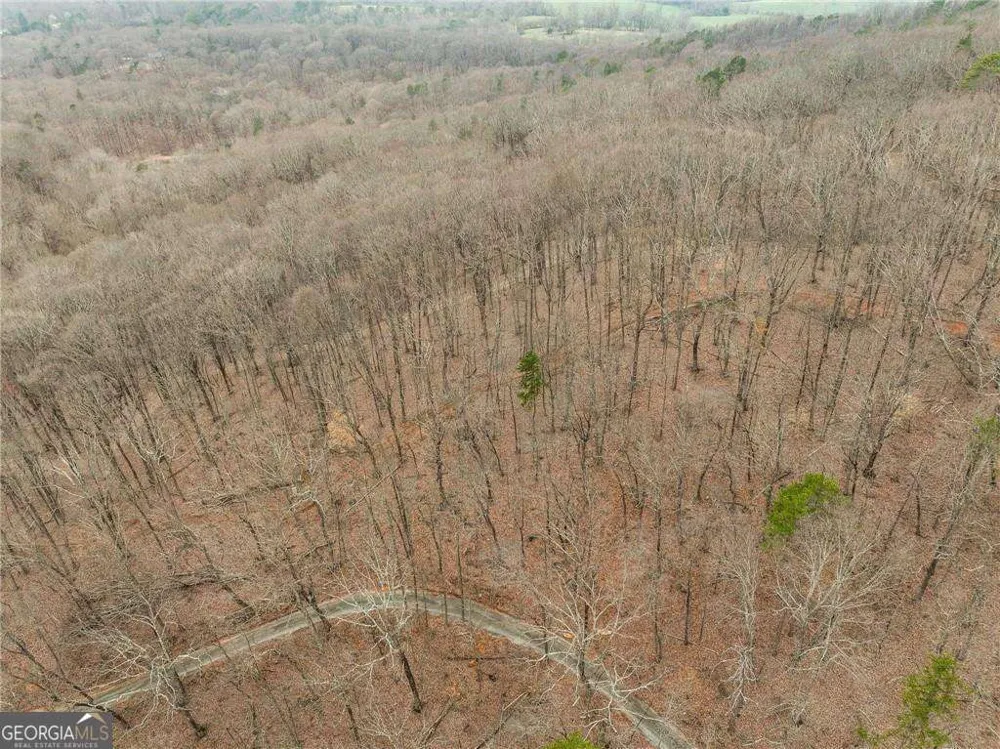 LOT 2 Mount Mincie RD Murrayville, GA 30564