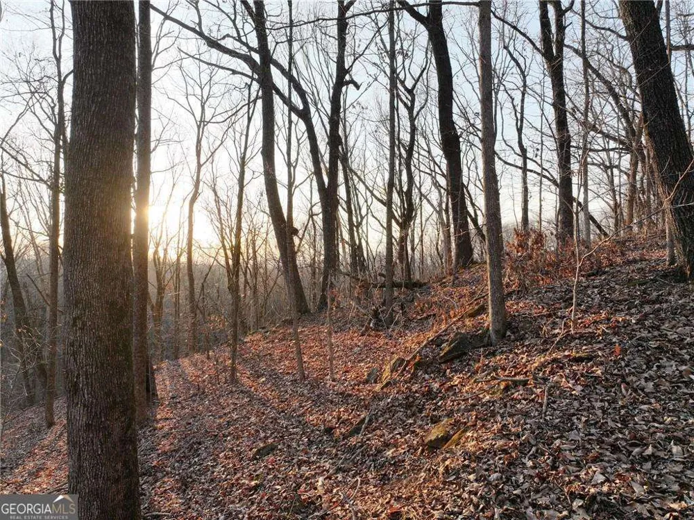 LOT 2 Mount Mincie RD Murrayville, GA 30564