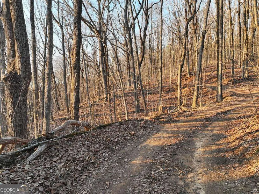 LOT 2 Mount Mincie RD Murrayville, GA 30564