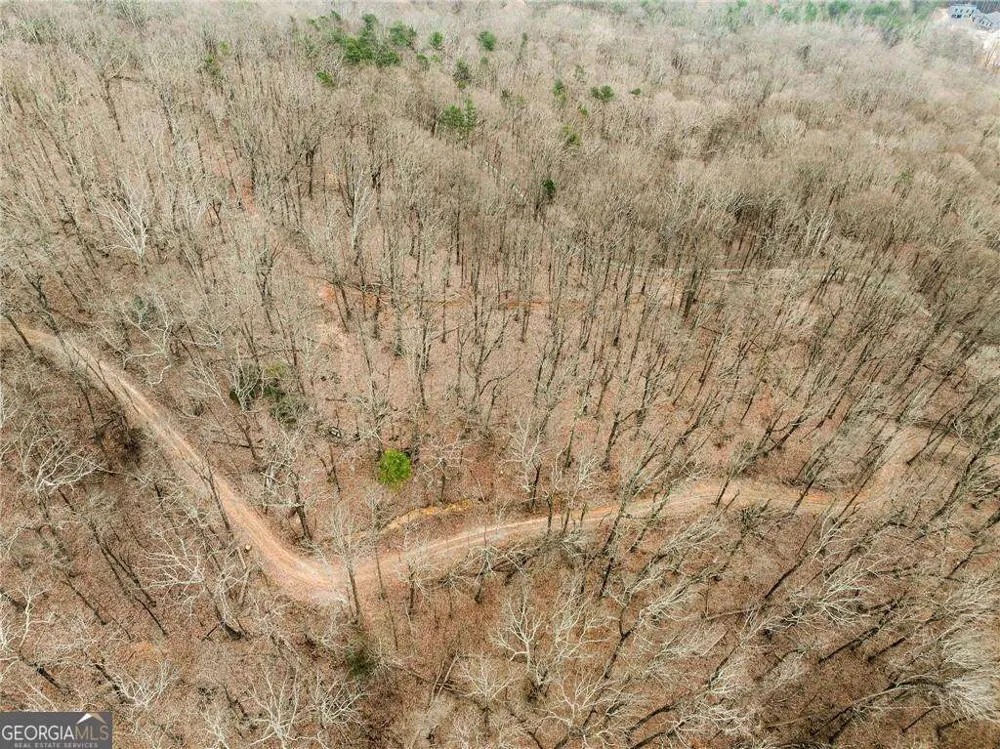 LOT 2 Mount Mincie RD Murrayville, GA 30564