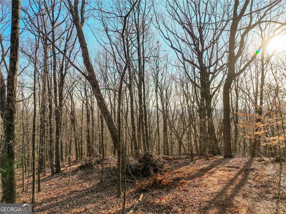 LOT 2 Mount Mincie RD Murrayville, GA 30564