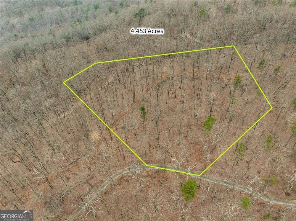 LOT 2 Mount Mincie RD Murrayville, GA 30564