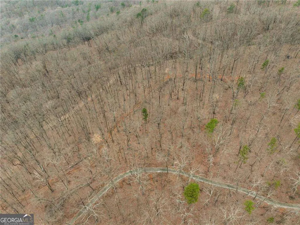 LOT 2 Mount Mincie RD Murrayville, GA 30564