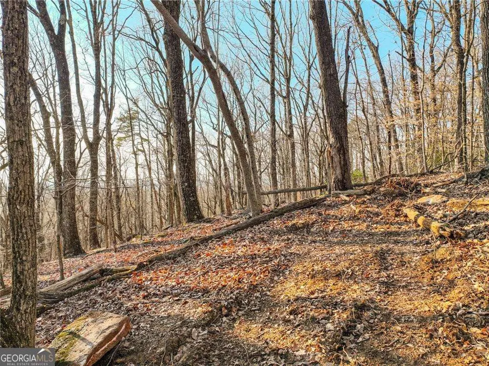 LOT 2 Mount Mincie RD Murrayville, GA 30564