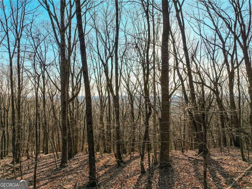 LOT 2 Mount Mincie RD Murrayville, GA 30564