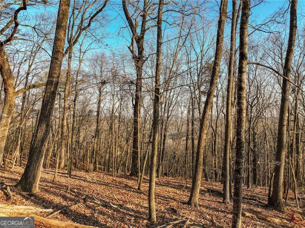 LOT 2 Mount Mincie RD Murrayville, GA 30564
