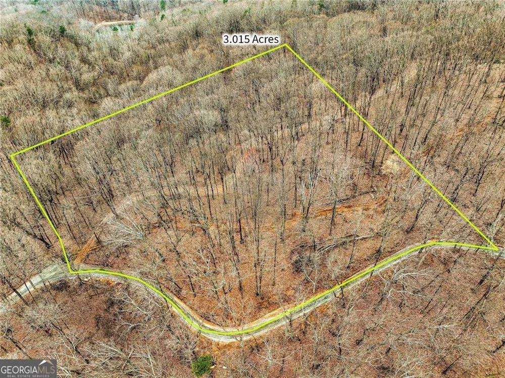 LOT 3 Mount Mincie RD Murrayville, GA 30564