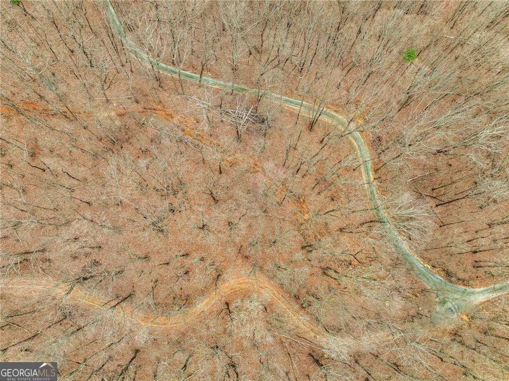 LOT 3 Mount Mincie RD Murrayville, GA 30564